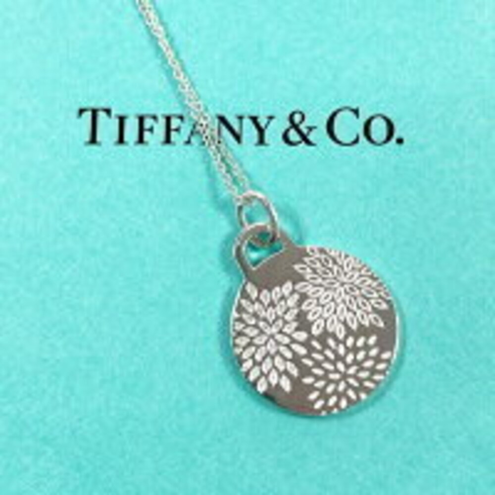 Tiffany Co Go Spray Necklace Sterling Silver